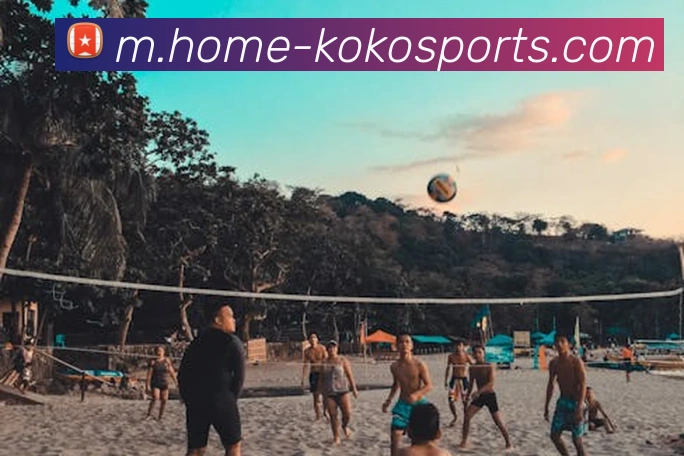 体育下注平台生态图